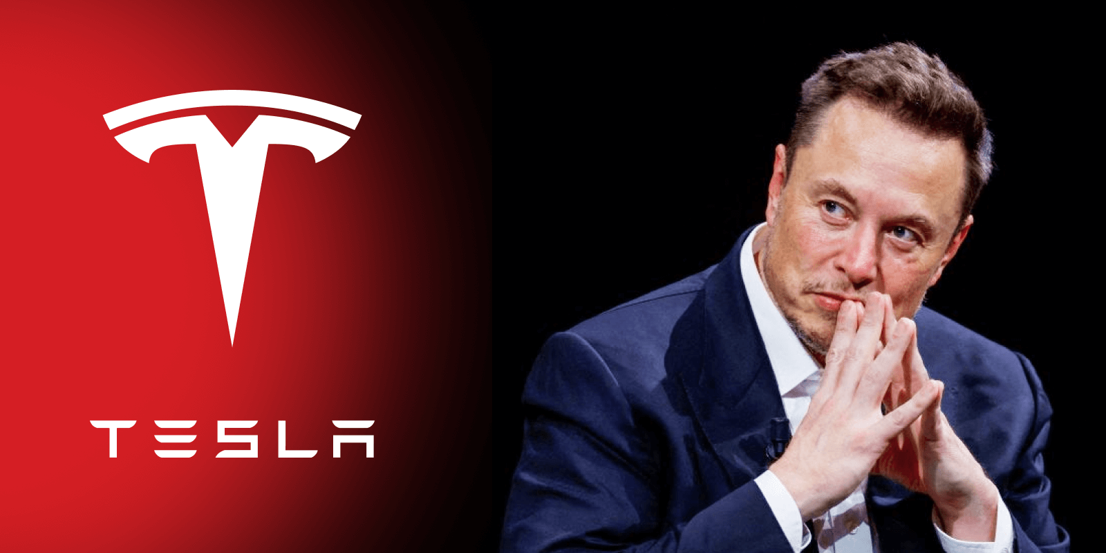 Elon Musk's Vision